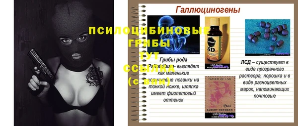 ГАЛЛЮЦИНОГЕННЫЕ ГРИБЫ Козельск